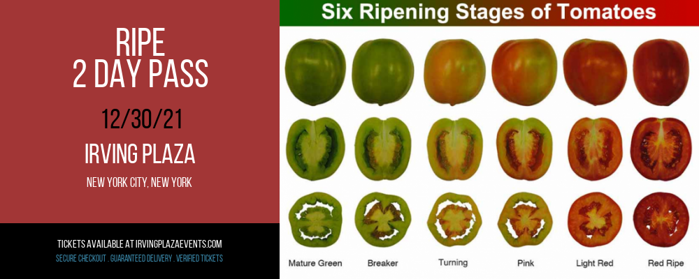 Ripe - 2 Day Pass at Irving Plaza tickets Ripe - 2 Day Pass at Irving Plaza