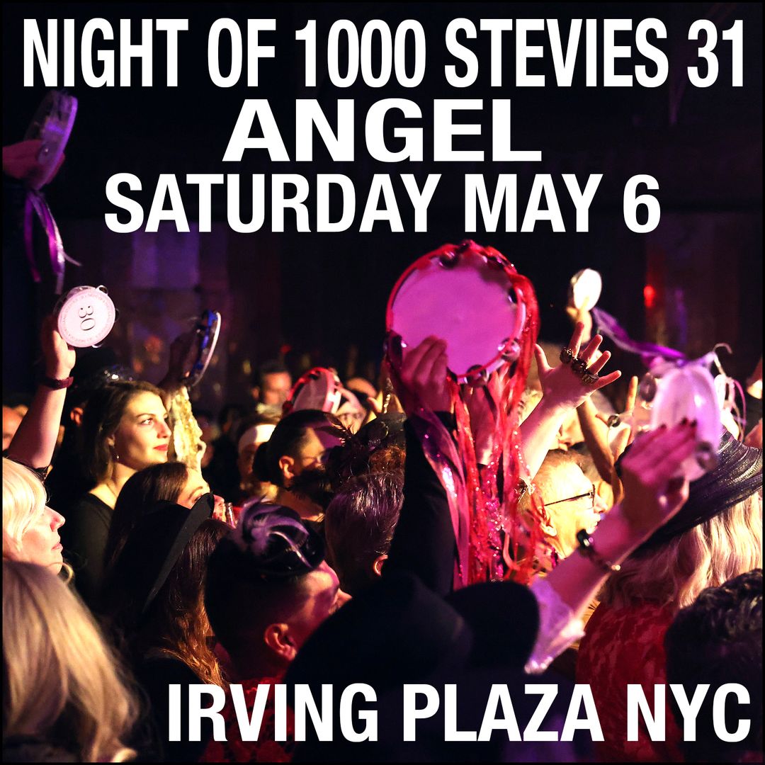 Night of a Thousand Stevies at Irving Plaza