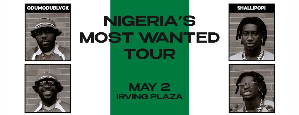 Shallipopi at Irving Plaza