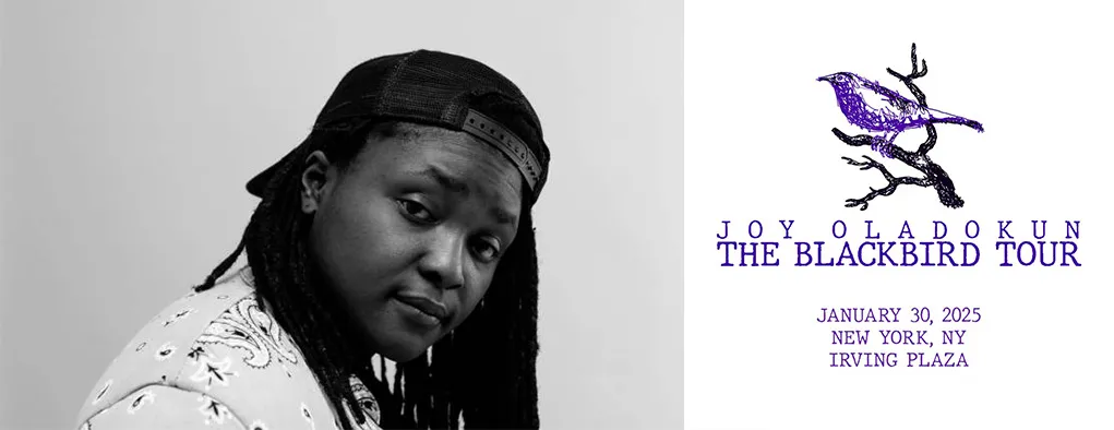Joy Oladokun